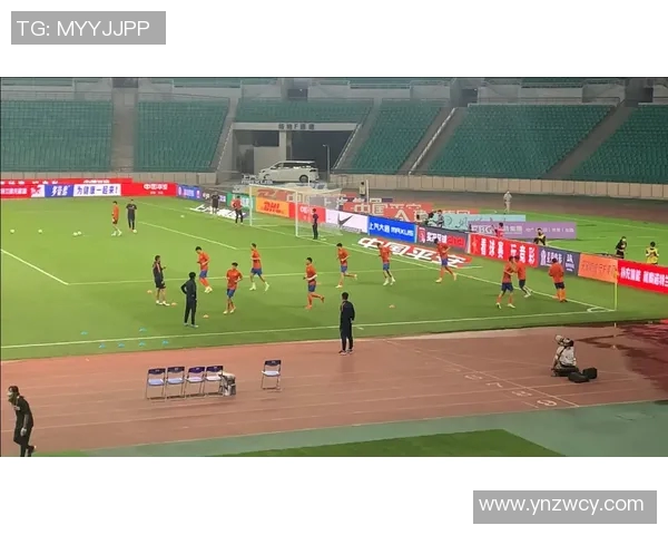 重庆羽毛球队边路渗透战术解析与实践探讨