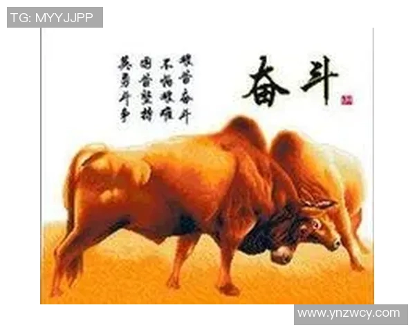 西安羽毛球队的崛起之路:亚运会背后的奋斗与荣耀 西安羽毛球队的崛起之路:亚运会背后的奋斗与荣耀