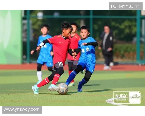 南京足球队荣登足球战术排行榜第五名展现强大实力与潜力