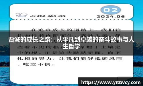 DB旗舰