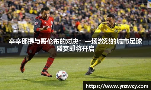 DB旗舰官网
