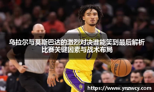 DB旗舰首页