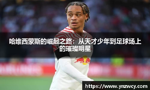 DB旗舰首页