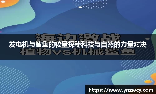 DB旗舰首页