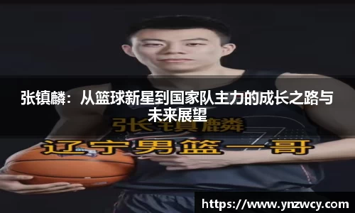 张镇麟：从篮球新星到国家队主力的成长之路与未来展望